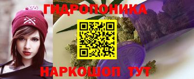 хмурый Абакан