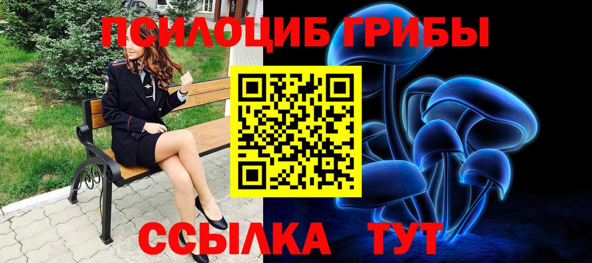 Алексеевка  Псилоцибиновые грибы ЛСД  Вход с VPN 
